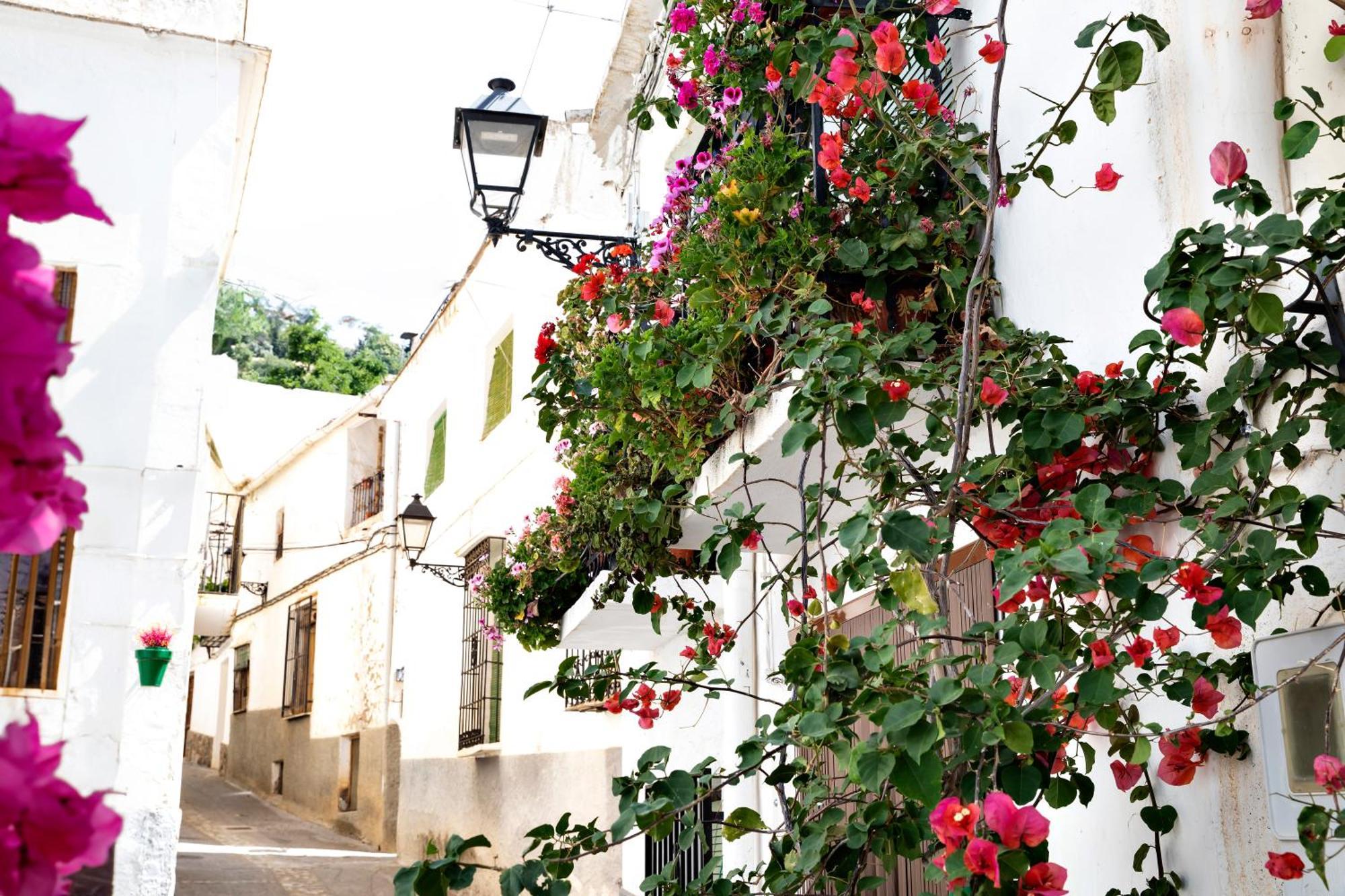 Alpujarra Relax Carataunas Kültér fotó